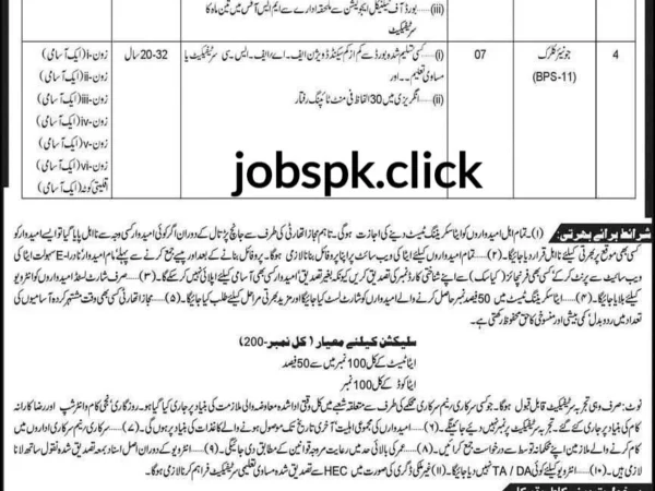 Directorate of Archaeology and Museums KP Jobs 2025 official advertisement