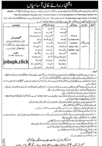 Plant Protection Assistant Jobs Punjab 2025 PPS-4 Advertisement