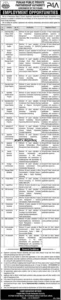 Punjab Public Private Partnership Authority P4A Jobs 2025 official advertisement