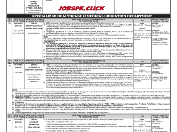 PPSC Advertisement 01/2026