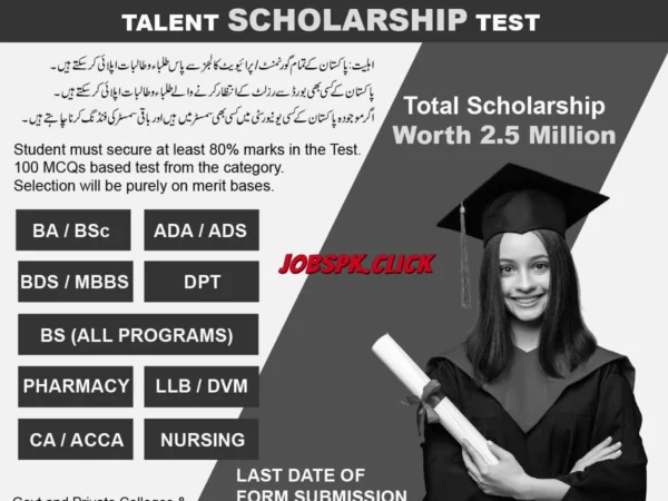 Tabeer Scholarship 2026 Official Advertisement