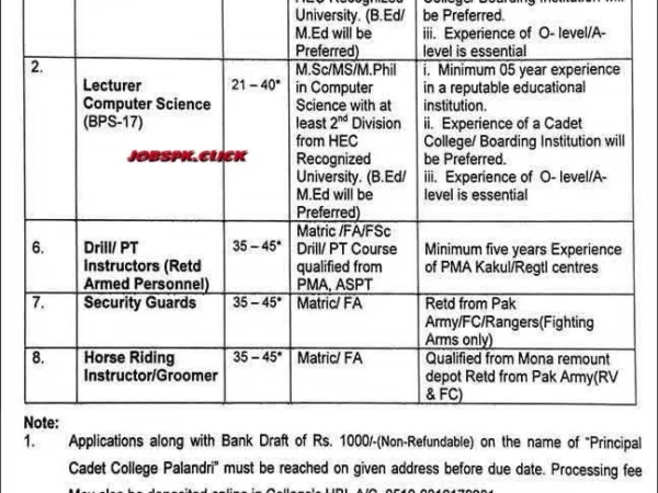 Cadet College Palandri AJ&K Jobs 2026 Official Advertisement