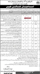 Directorate Of Reclamation And Probation Home Department Sindh Jobs 2026 Official Advertisement