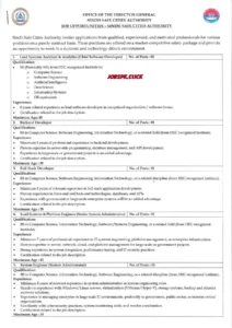 Sindh Safe Cities Authority Jobs 2026 Official Advertisement